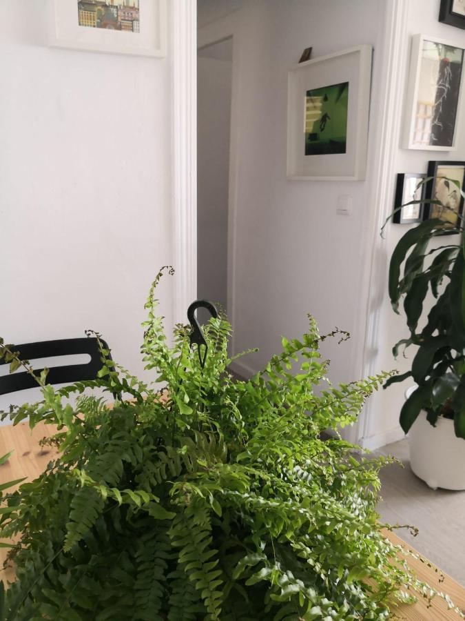 Apartament My Quiet House Malaga Zewnętrze zdjęcie
