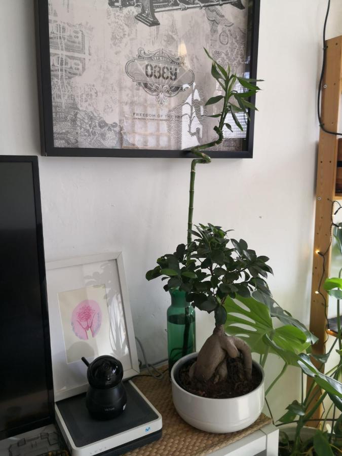 Apartament My Quiet House Malaga Zewnętrze zdjęcie